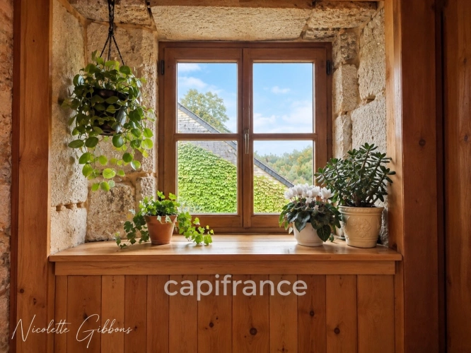 Photos 17 - Prestige - CORRÈZE – PROPRIÉTÉ SUR 6 HECTARES, SOURCE, FORET AVEC MAISON PRINCIPALE ET 4 GÎTES – VALLÉE DE LA DORDOGNE