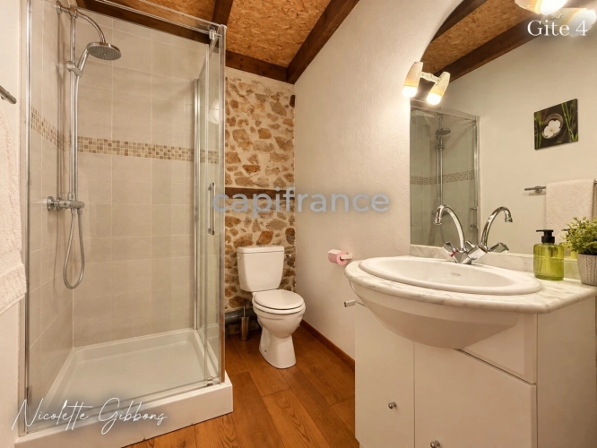 Photos 48 - Prestige - CORRÈZE – PROPRIÉTÉ SUR 6 HECTARES, SOURCE, FORET AVEC MAISON PRINCIPALE ET 4 GÎTES – VALLÉE DE LA DORDOGNE