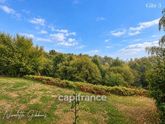 Photos 57 - Prestige - CORRÈZE – PROPRIÉTÉ SUR 6 HECTARES, SOURCE, FORET AVEC MAISON PRINCIPALE ET 4 GÎTES – VALLÉE DE LA DORDOGNE