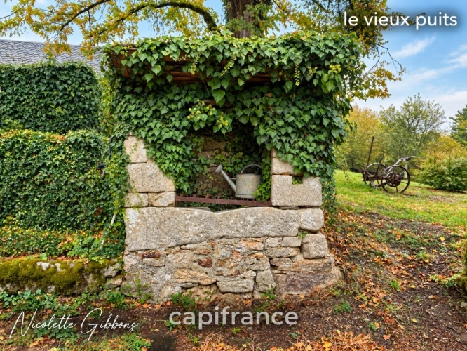 Photos 60 - Prestige - CORRÈZE – PROPRIÉTÉ SUR 6 HECTARES, SOURCE, FORET AVEC MAISON PRINCIPALE ET 4 GÎTES – VALLÉE DE LA DORDOGNE