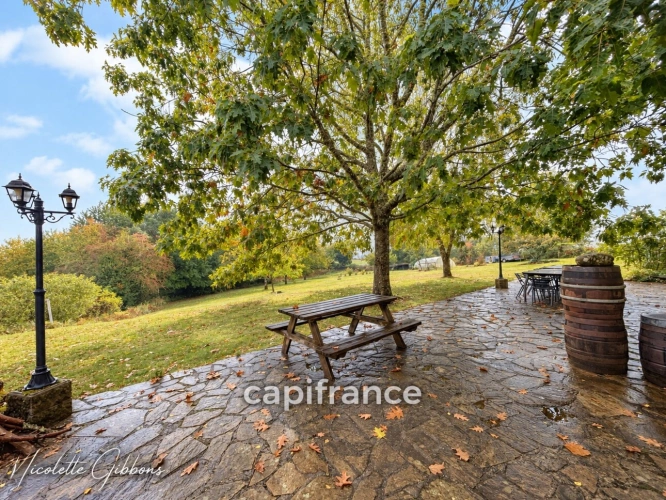 Photos 62 - Prestige - CORRÈZE – PROPRIÉTÉ SUR 6 HECTARES, SOURCE, FORET AVEC MAISON PRINCIPALE ET 4 GÎTES – VALLÉE DE LA DORDOGNE