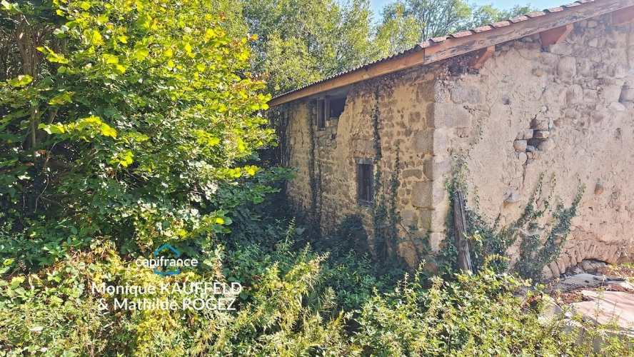 Photos 15 - Prestige - Maison à rénover OLLIERGUES (63)