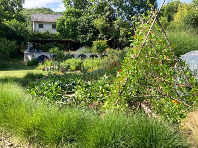 Photos 3 - Rurale - Une propriété unique entre nature, créativité et douceur de vivre