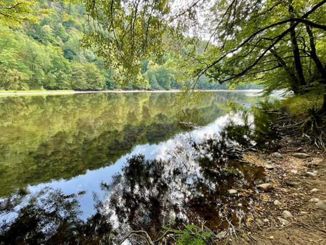 Photos 14 - Rurale - Une propriété unique entre nature, créativité et douceur de vivre