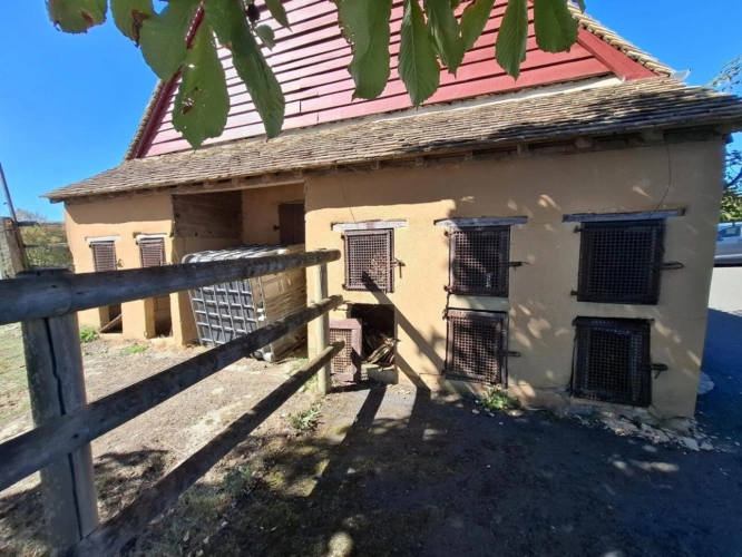 Photos 16 - Équestre - À VENDRE - Magnifique domaine équestre avec maison de caract