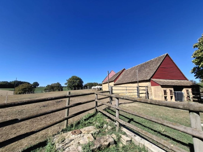 Photos 17 - Équestre - À VENDRE - Magnifique domaine équestre avec maison de caract