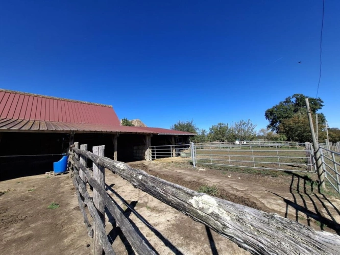 Photos 19 - Équestre - À VENDRE - Magnifique domaine équestre avec maison de caract