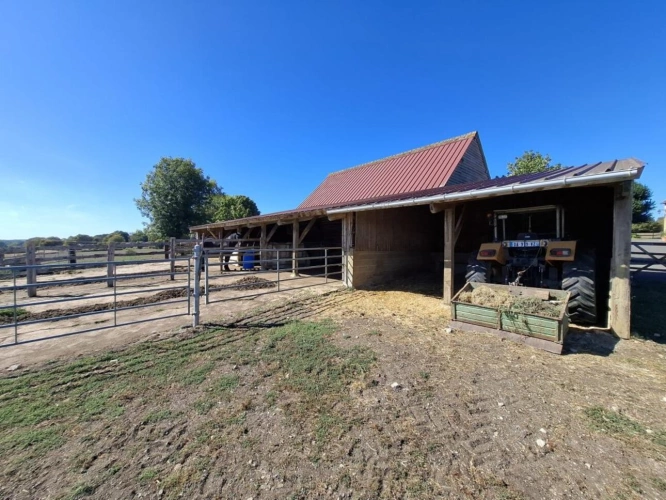 Photos 20 - Équestre - À VENDRE - Magnifique domaine équestre avec maison de caract