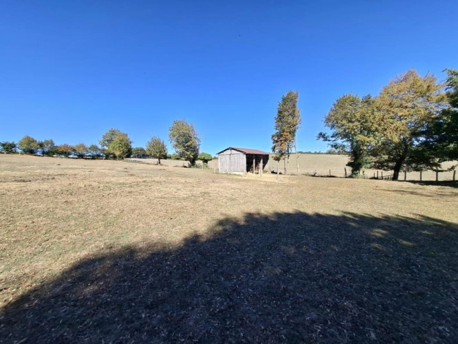 Photos 21 - Équestre - À VENDRE - Magnifique domaine équestre avec maison de caract