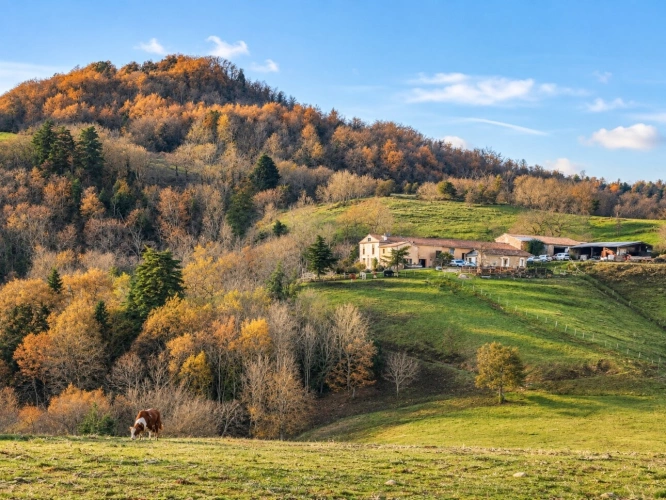 Photos 1 - Touristique - Propriete à vendre 10 pièces FOURTOU (11)
