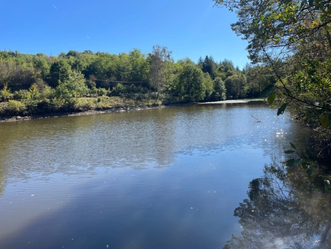 Photos 1 - Forestière - Etang de 6000 m2 sur parcelle d'1,6 hectare
