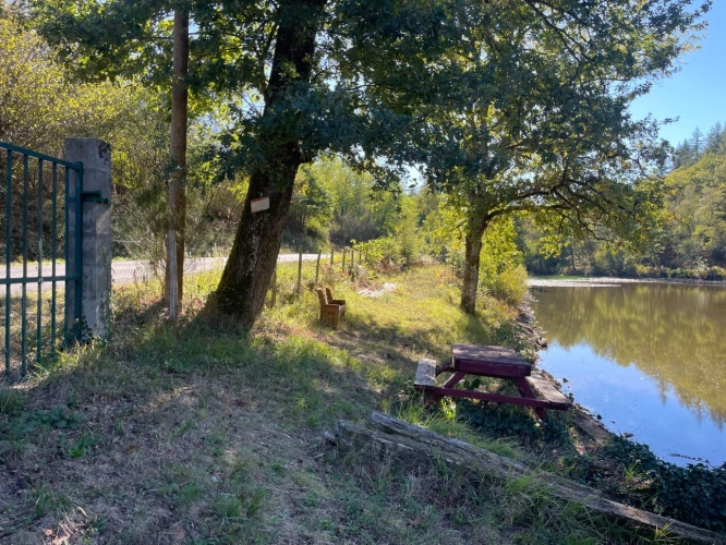 Photos 2 - Forestière - Etang de 6000 m2 sur parcelle d'1,6 hectare