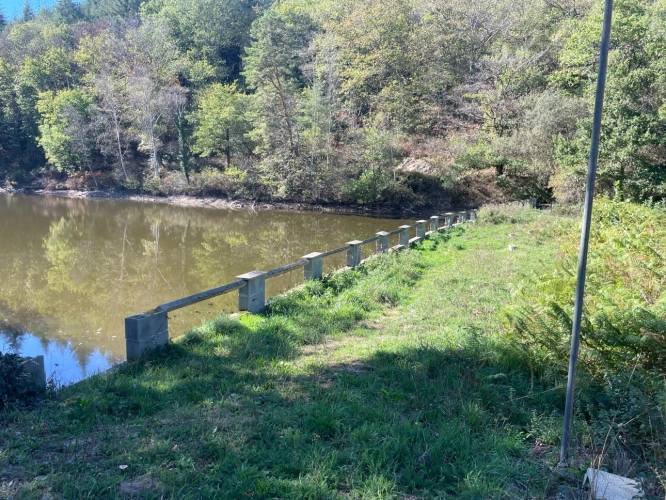Photos 3 - Forestière - Etang de 6000 m2 sur parcelle d'1,6 hectare