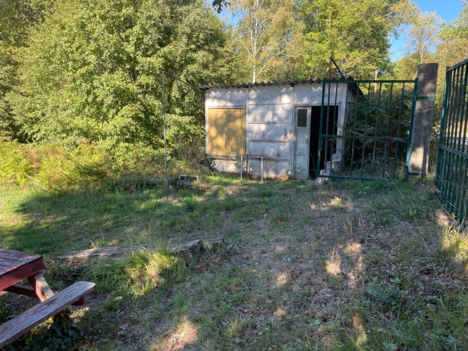 Photos 4 - Forestière - Etang de 6000 m2 sur parcelle d'1,6 hectare