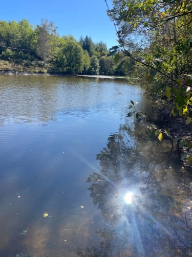 Photos 7 - Forestière - Etang de 6000 m2 sur parcelle d'1,6 hectare