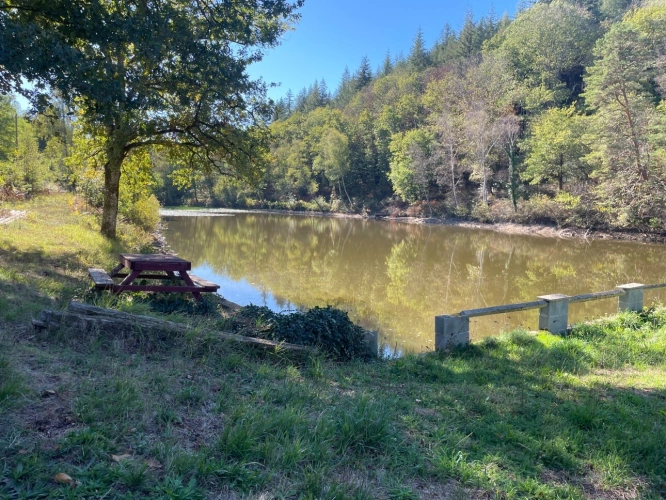 Photos 8 - Forestière - Etang de 6000 m2 sur parcelle d'1,6 hectare