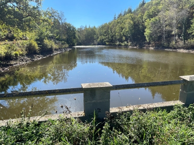 Photos 9 - Forestière - Etang de 6000 m2 sur parcelle d'1,6 hectare