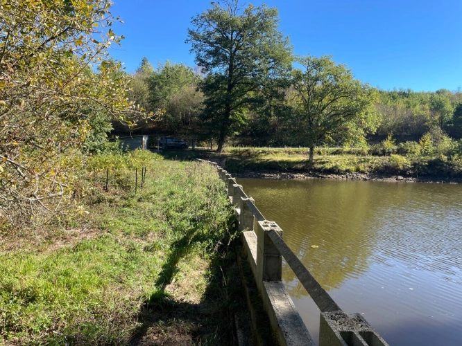 Photos 10 - Forestière - Etang de 6000 m2 sur parcelle d'1,6 hectare