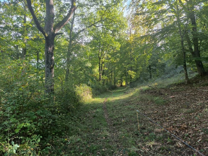 Photos 1 - Agricole - Splendide terrain de 98 ha ,  30 HA de prairies , 78 HA de bois