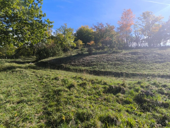 Photos 13 - Agricole - Splendide terrain de 98 ha ,  30 HA de prairies , 78 HA de bois
