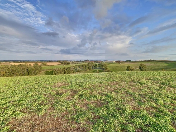 Photos 11 - Agricole - Bovine