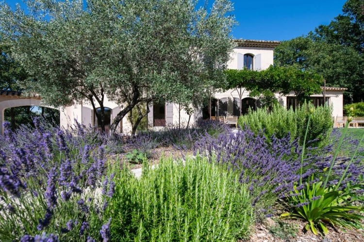 Photos 36 - Prestige - MÉNERBES – PROPRIÉTÉ D’EXCEPTION – 2 BÂTISSES – 9 CHAMBRES – PISCINE – SPA – PICKLE BALL – VUE LUBERON