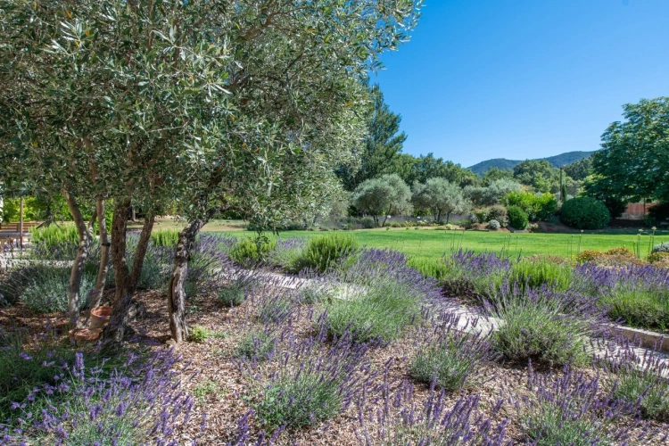 Photos 37 - Prestige - MÉNERBES – PROPRIÉTÉ D’EXCEPTION – 2 BÂTISSES – 9 CHAMBRES – PISCINE – SPA – PICKLE BALL – VUE LUBERON