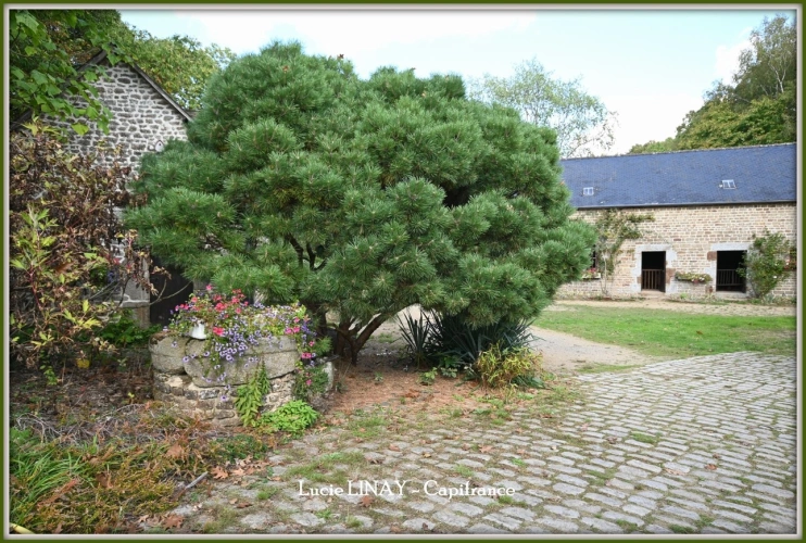Photos 6 - Prestige - Domaine paysager reconnu avec parc floral, batiments et terres agricoles