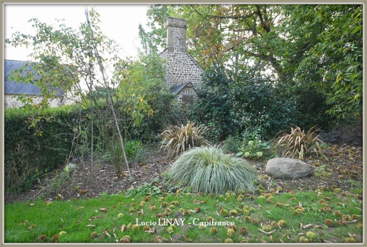 Photos 13 - Prestige - Domaine paysager reconnu avec parc floral, batiments et terres agricoles