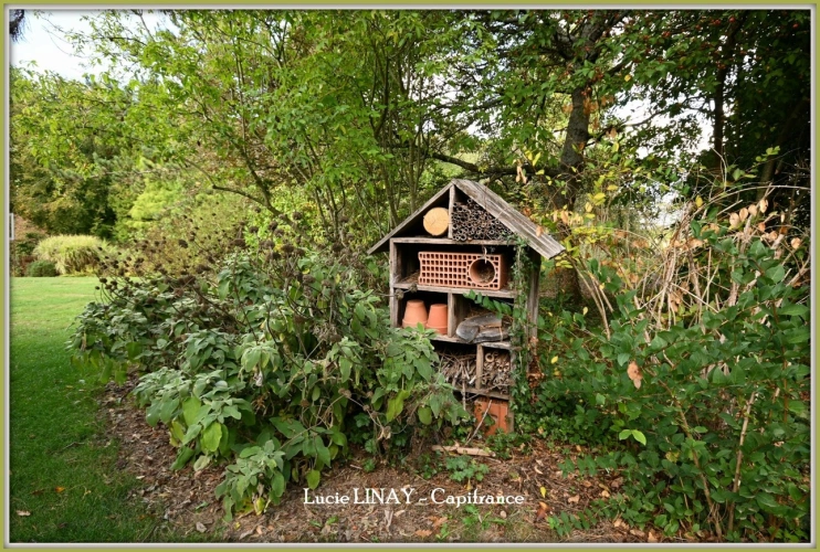 Photos 17 - Prestige - Domaine paysager reconnu avec parc floral, batiments et terres agricoles