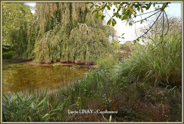 Photos 19 - Prestige - Domaine paysager reconnu avec parc floral, batiments et terres agricoles