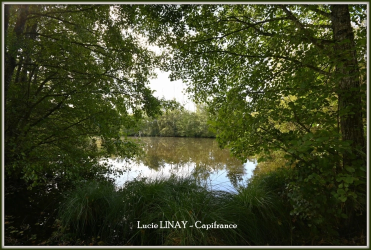 Photos 25 - Prestige - Domaine paysager reconnu avec parc floral, batiments et terres agricoles