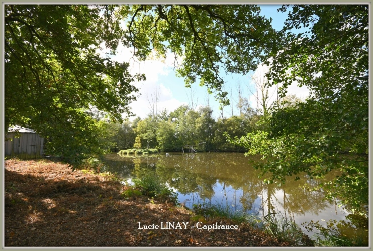 Photos 26 - Prestige - Domaine paysager reconnu avec parc floral, batiments et terres agricoles