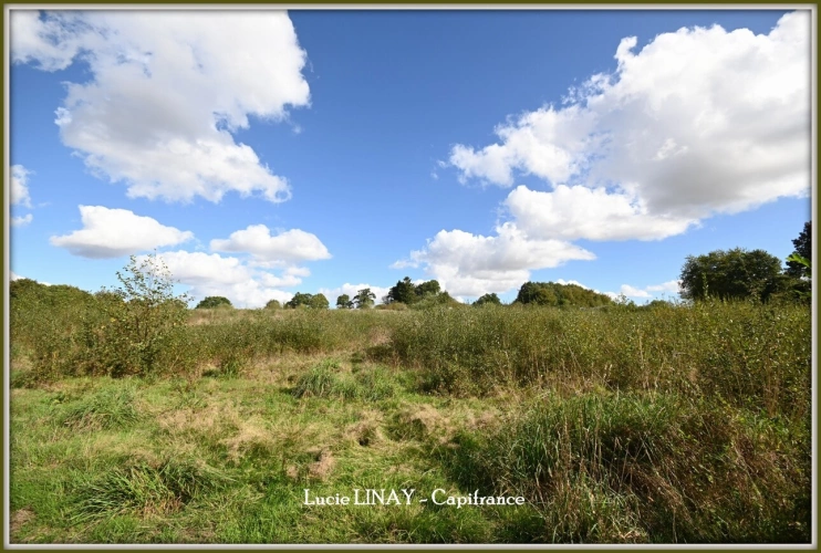 Photos 27 - Prestige - Domaine paysager reconnu avec parc floral, batiments et terres agricoles