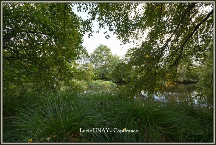 Photos 28 - Prestige - Domaine paysager reconnu avec parc floral, batiments et terres agricoles