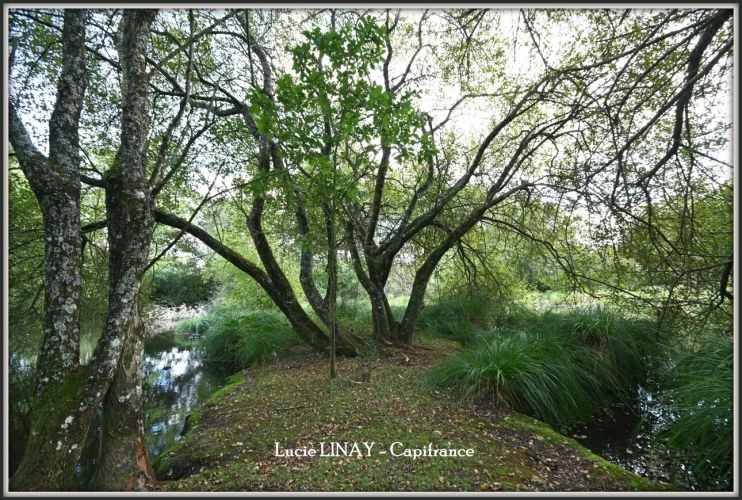 Photos 30 - Prestige - Domaine paysager reconnu avec parc floral, batiments et terres agricoles