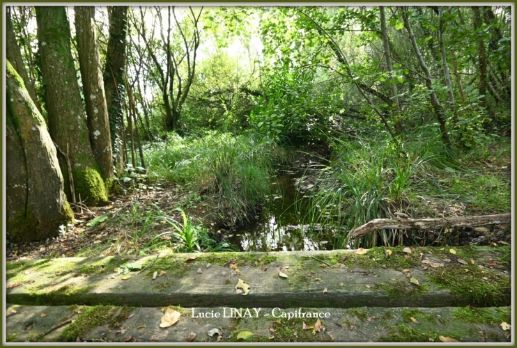 Photos 32 - Prestige - Domaine paysager reconnu avec parc floral, batiments et terres agricoles