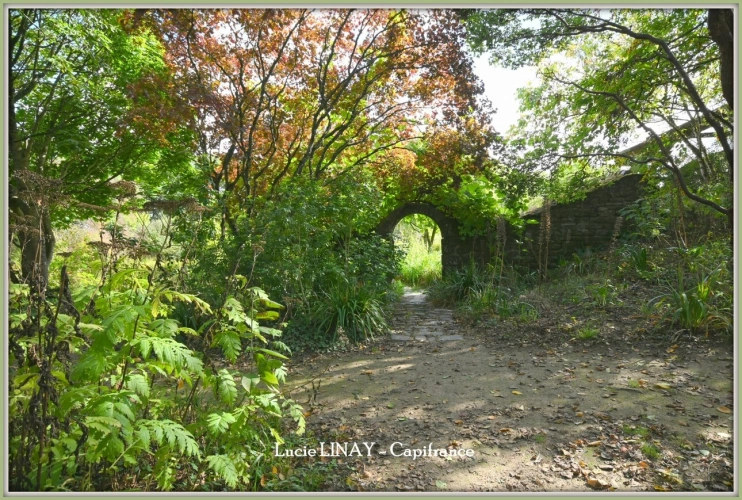 Photos 34 - Prestige - Domaine paysager reconnu avec parc floral, batiments et terres agricoles