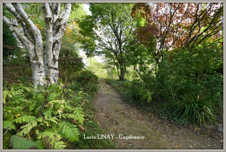 Photos 39 - Prestige - Domaine paysager reconnu avec parc floral, batiments et terres agricoles