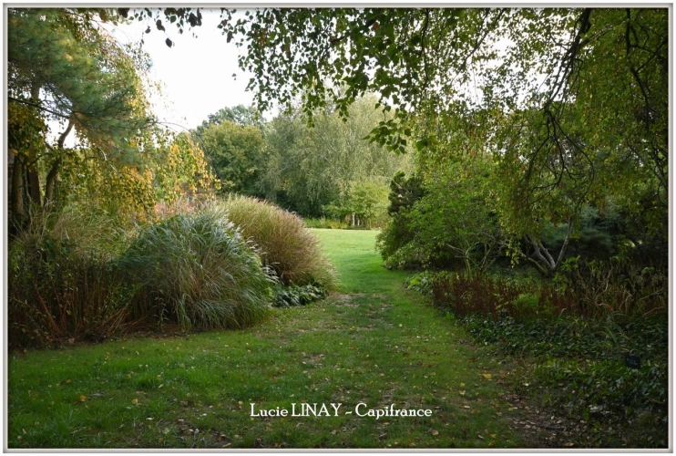 Photos 43 - Prestige - Domaine paysager reconnu avec parc floral, batiments et terres agricoles