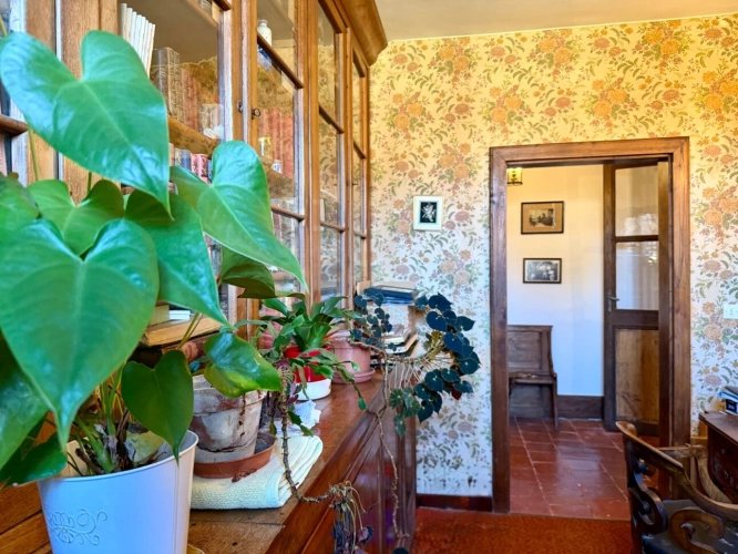 Photos 16 - Prestige - Château à vendre BAS ARMAGNAC (32) - Avec deux gîtes, dépendances, piscine et parc - 19 ha de vignes et terres