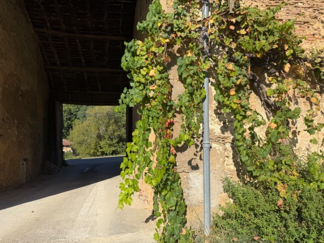 Photos 40 - Prestige - Château à vendre BAS ARMAGNAC (32) - Avec deux gîtes, dépendances, piscine et parc - 19 ha de vignes et terres