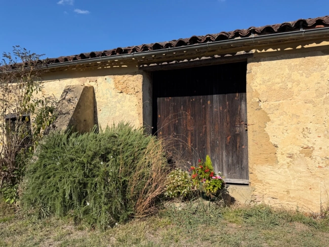 Photos 42 - Prestige - Château à vendre BAS ARMAGNAC (32) - Avec deux gîtes, dépendances, piscine et parc - 19 ha de vignes et terres