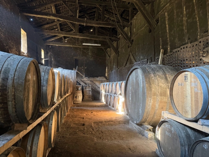 Photos 46 - Prestige - Château à vendre BAS ARMAGNAC (32) - Avec deux gîtes, dépendances, piscine et parc - 19 ha de vignes et terres