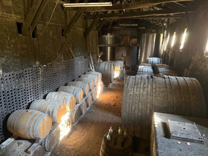 Photos 47 - Prestige - Château à vendre BAS ARMAGNAC (32) - Avec deux gîtes, dépendances, piscine et parc - 19 ha de vignes et terres