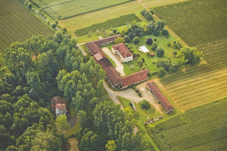 Photos 59 - Prestige - Château à vendre BAS ARMAGNAC (32) - Avec deux gîtes, dépendances, piscine et parc - 19 ha de vignes et terres