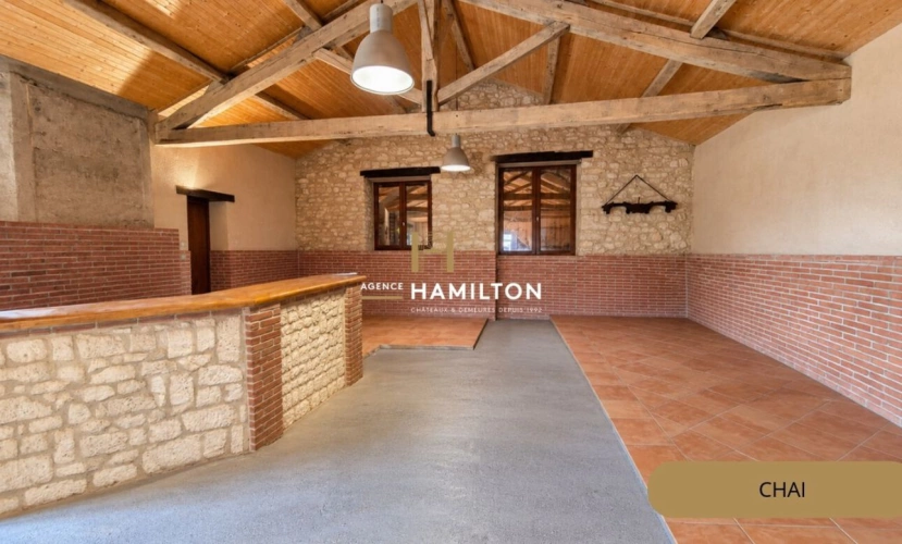 Photos 2 - Prestige - SOUEL (81) ? PROPRIÉTÉ DE CARACTÈRE AVEC CHAI, PISCINE ET OLIVERAIE