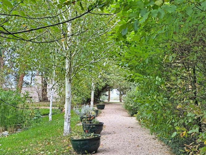 Photos 45 - Prestige - Propriété à vendre 9 pièces MASCARAS (32) - 465 m2 avec dépendances et piscine intérieure - 2,3 hectares de terres, parc et jardin