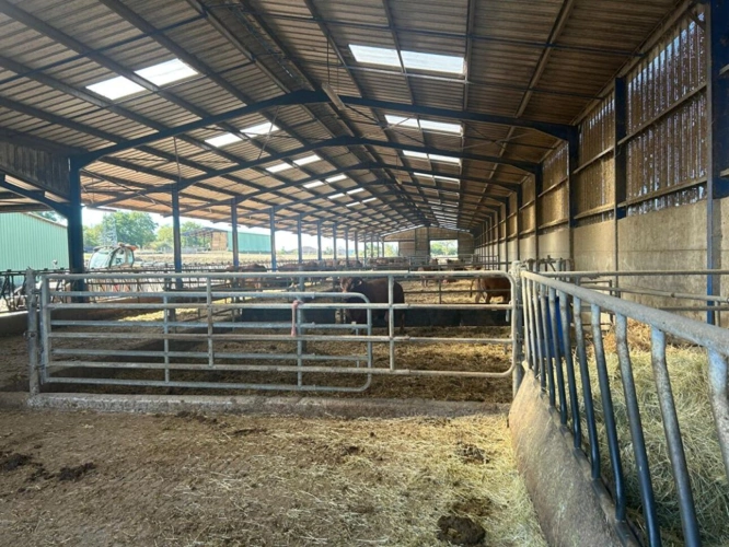 Photos 3 - Agricole - GRANDE STRUCTURE AGRICOLE AVEC IRRIGATION I 120 ha | 4 000 m² couverts | Agrandissement possible I Irrigation I Drainage | Extensible à plus de 310 ha