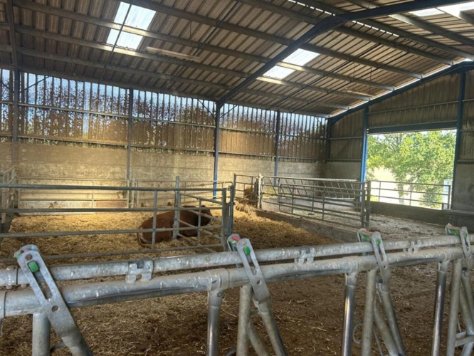 Photos 4 - Agricole - GRANDE STRUCTURE AGRICOLE AVEC IRRIGATION I 120 ha | 4 000 m² couverts | Agrandissement possible I Irrigation I Drainage | Extensible à plus de 310 ha